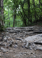 Tyrol Południowy - Dolina Wiosny między Monticolo a Caldaro