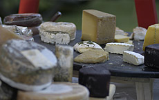 Południowy Tyrol Typowe produkty